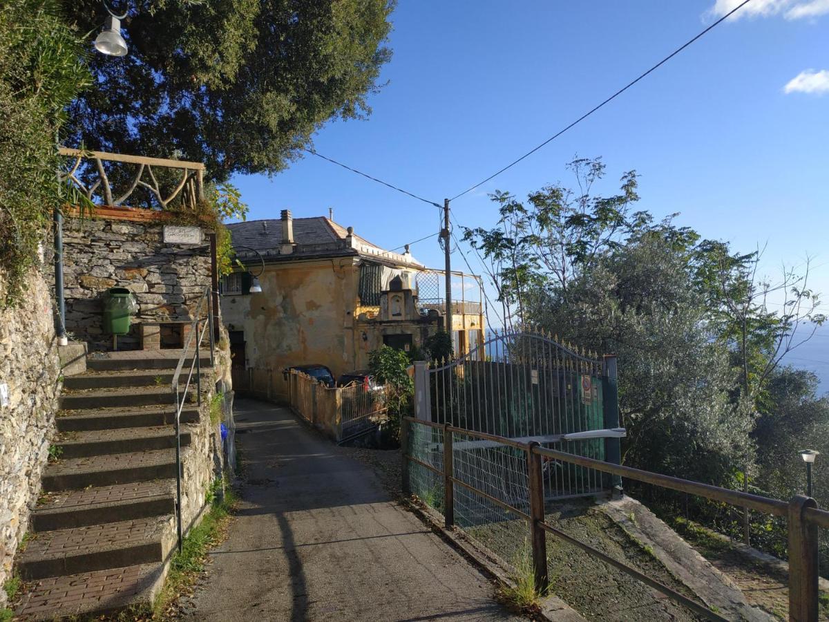 Casaviva - Ampio Trilocale Vista Mare Con Piscina - Pieve Alta Daire Pieve Ligure Dış mekan fotoğraf